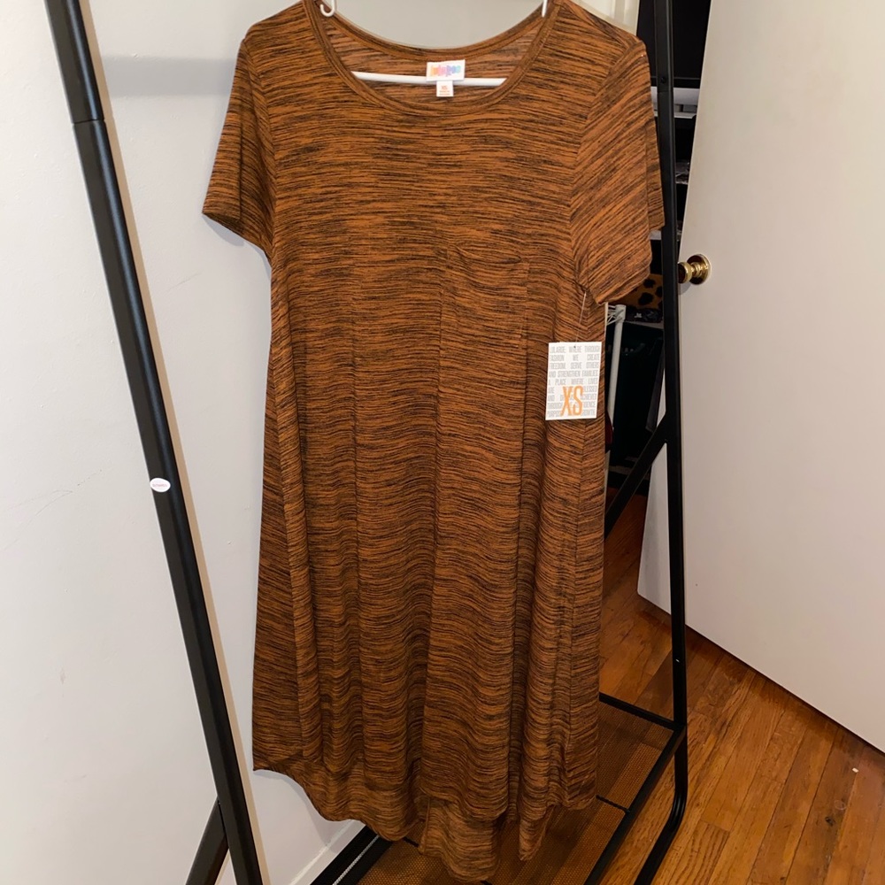 NWT LuLaRoe Carly dress
